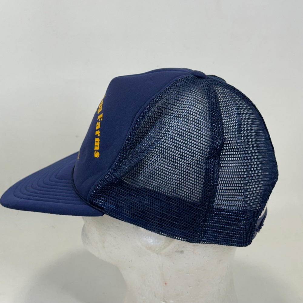 Vintage De Coster Egg Farms Massey MD Trucker Hat Navy Blue Snapback Mesh Nissin - Picture 3 of 8